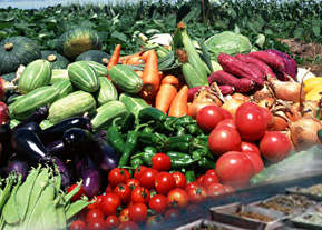 關(guān)于大陽保潔